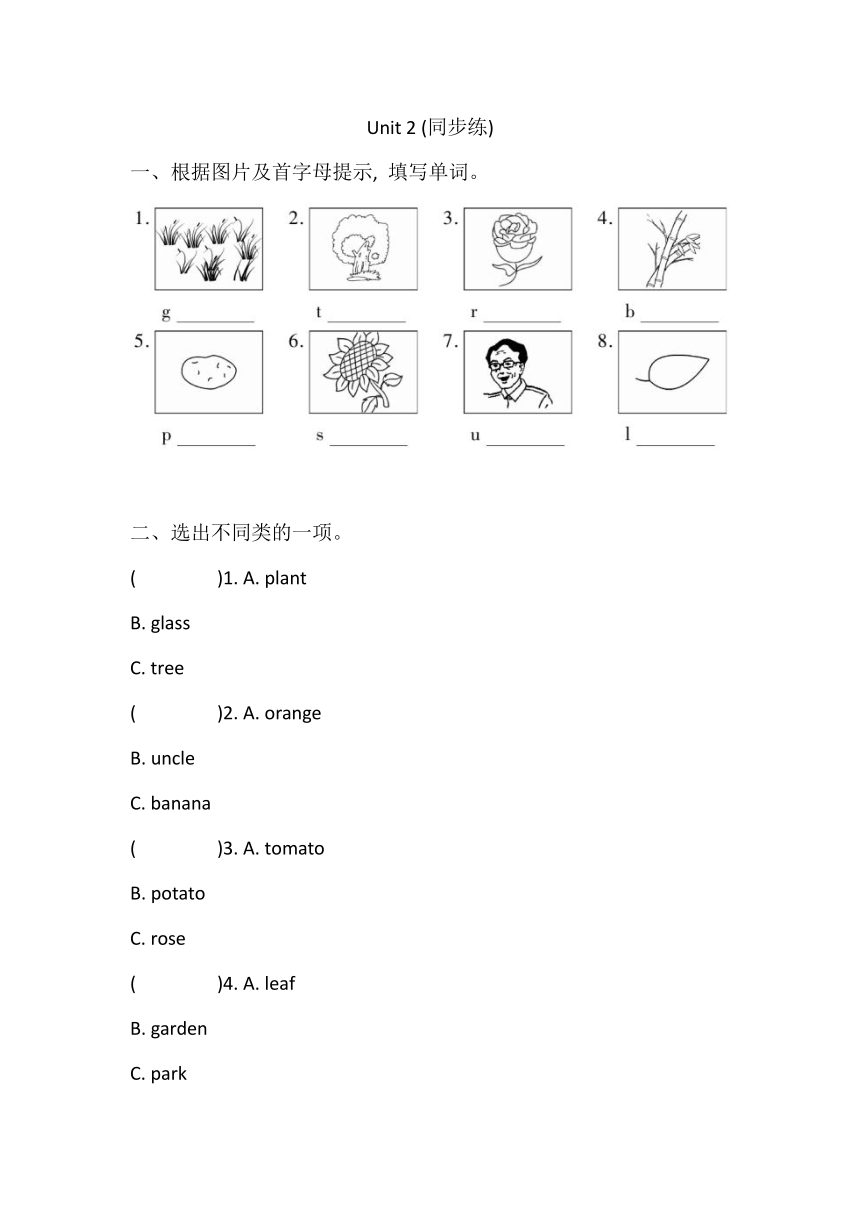 Unit 2 There are many flowers. 同步练习（含答案）