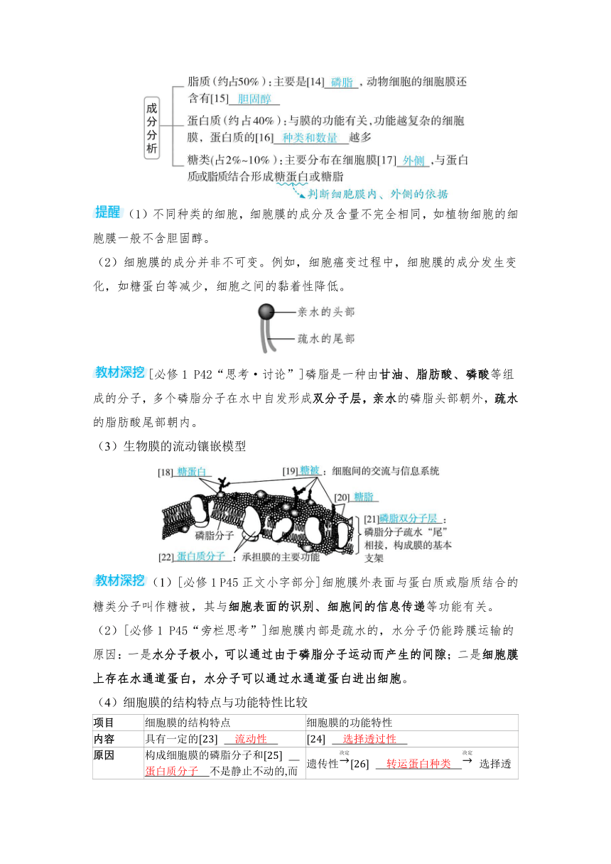 生物学高考备考学案：2-1  细胞膜和细胞核的结构和功能（含答案）