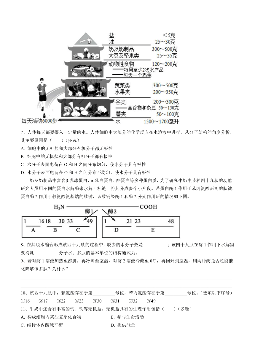 上海市东华致远2023-2024学年高二上学期期中教学评估生物学合格考试题（含答案）