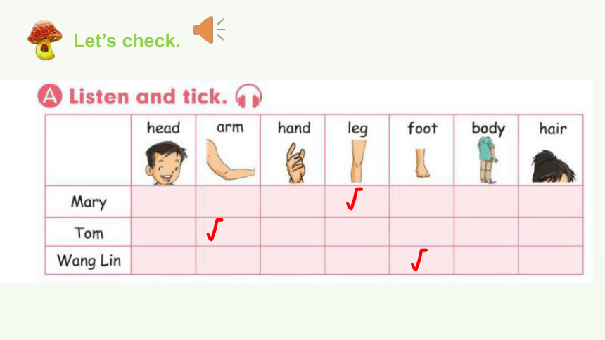 Unit 2 My body Let's check Let’s check+Fun time+story time 课件(共21张PPT)