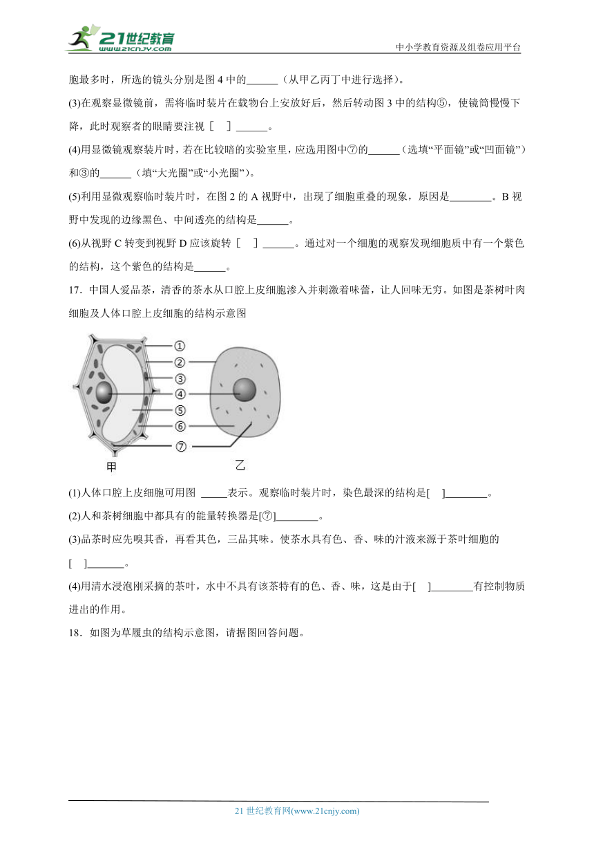 2023-2024学年初中生物济南版七年级上册期末复习专题3——细胞的结构与功能（含解析）