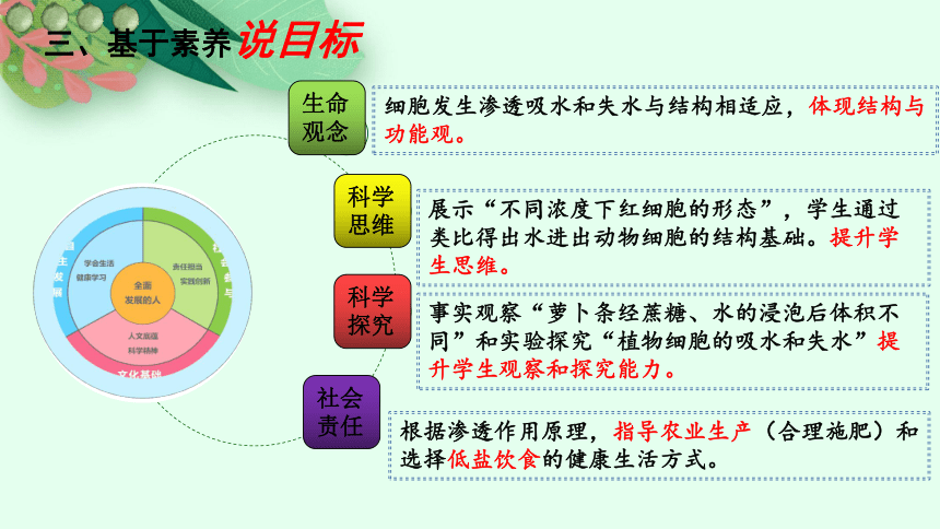 4.1被动运输（第1课时）课件(共17张PPT1份视频)-2023-2024 学年高一生物人教版（2019）必修一