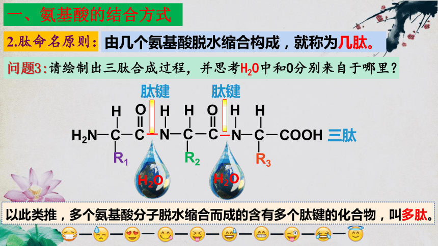 2.4 蛋白质是生命活动的主要承担者（第二课时）（42页PPT3份视频）高一生物课件（人教版2019必修1）