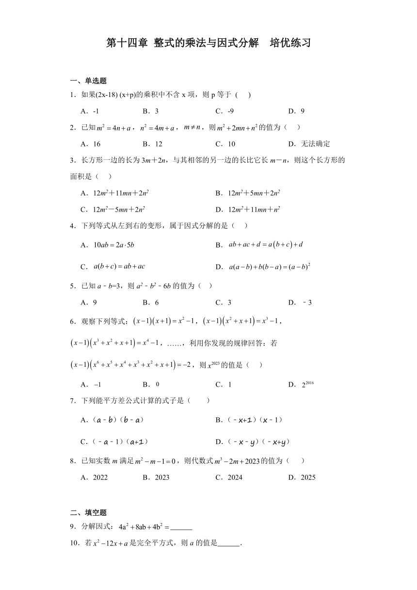 第十四章 整式的乘法与因式分解 优化练习(无答案) 2023-2024学年八年级数学上册人教版