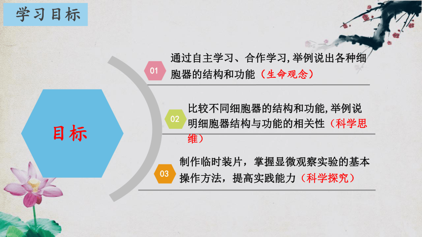 3.2 细胞器之间的分工合作（第二课时）(共42张PPT)高一生物上学期课件（人教版2019必修1）