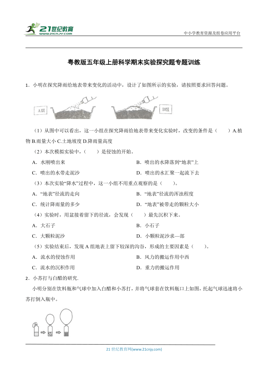 粤教版五年级上册科学期末实验探究题专题训练（含答案）