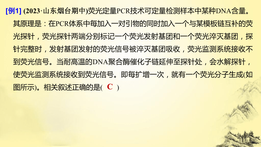 高考生物总复习微专题10 PCR技术与电泳相关问题(课件共21张PPT)