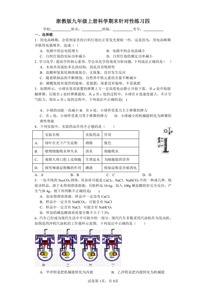 浙教版九年级上册科学期末针对性练习四（含答案）