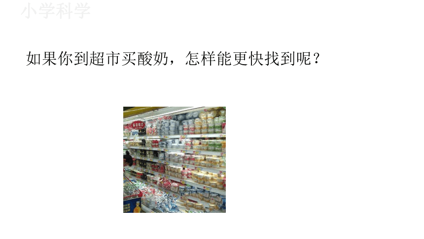 教科版（2017秋）一年级下册1.4给物体分类课件（17张PPT)