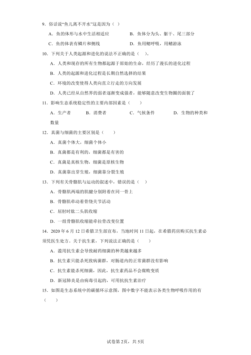 2023-2024学年初中生物苏教版八年级上册期末测试模拟卷（答案+解析）