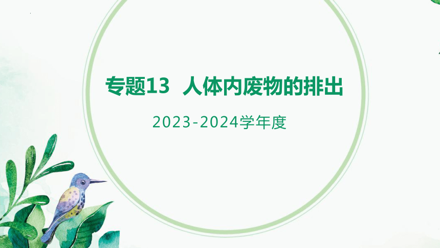 专题13 人体内废物的排出（课件精讲）-2023-2024年中考一轮复习精讲精练（全国通用）(共23张PPT)