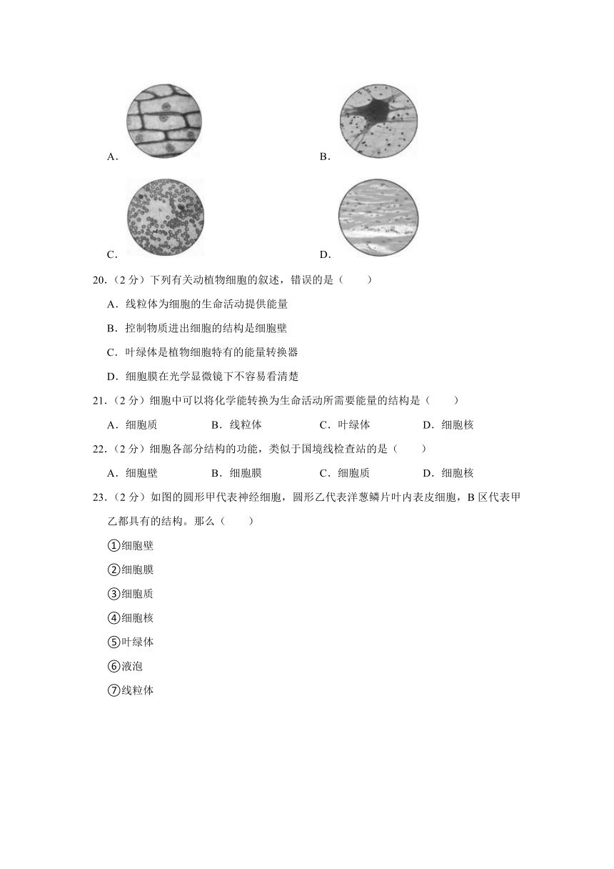 广东省中山市三十八校联考2023-2024学年七年级上学期期中生物试卷（含解析）