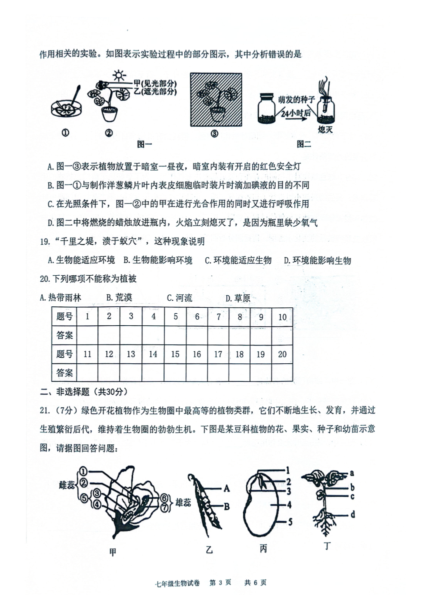 吉林省松原市前郭县2023—2024学年第一学期七年级生物期末试卷（图片版，含答案）