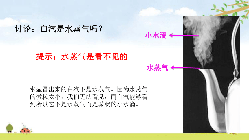 新教科版三年级上册科学第一单元精品课件(共161张PPT)