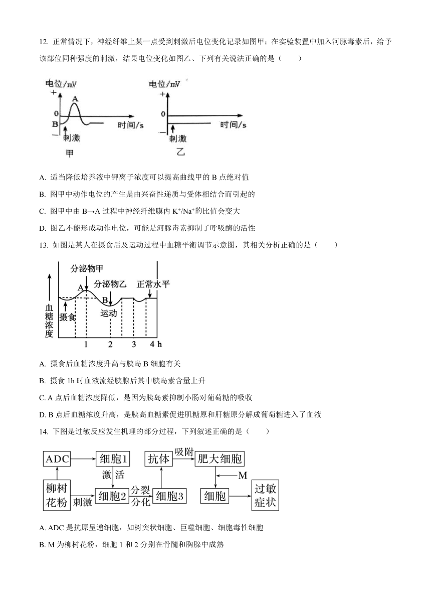 福建省厦门市湖滨名校2023-2024学年高二上学期期中生物试题（含解析）