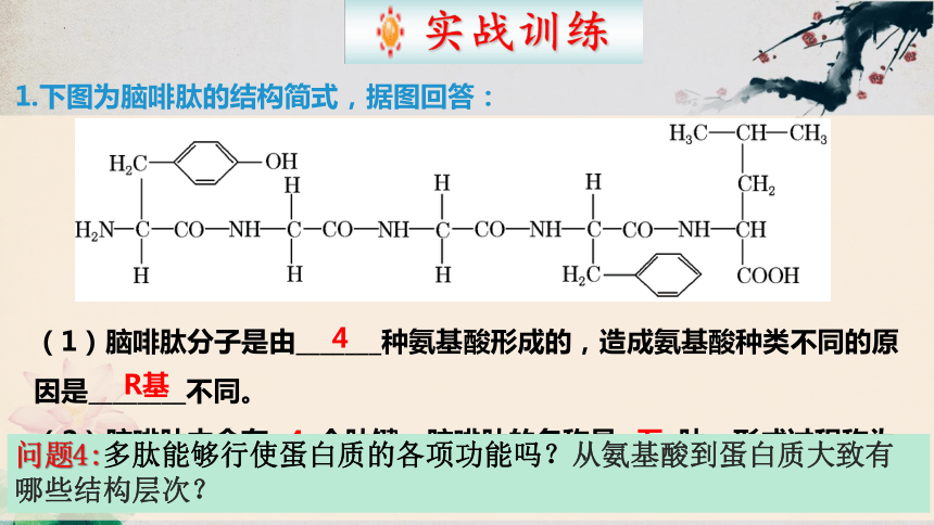 2.4 蛋白质是生命活动的主要承担者（第二课时）（42页PPT3份视频）高一生物课件（人教版2019必修1）