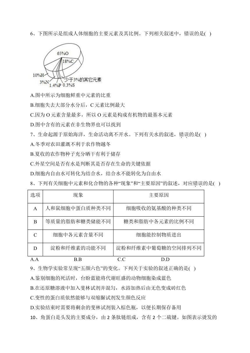 福建省宁德市寿宁县2022-2023学年高一11月期中生物试题(含解析)