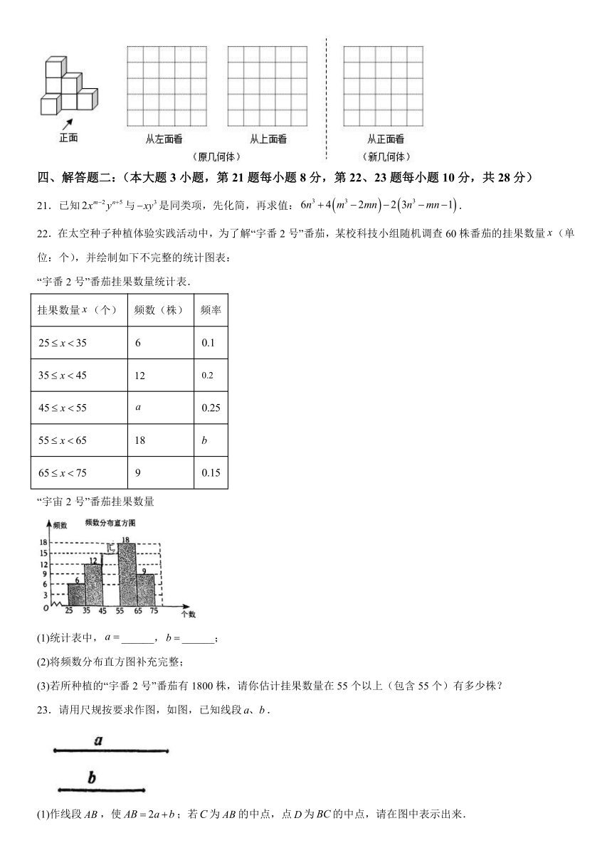 广东省佛山市南海区桂城街道灯湖初级中学2023-2024学年七年级上册第二次月考数学试题（含解析）