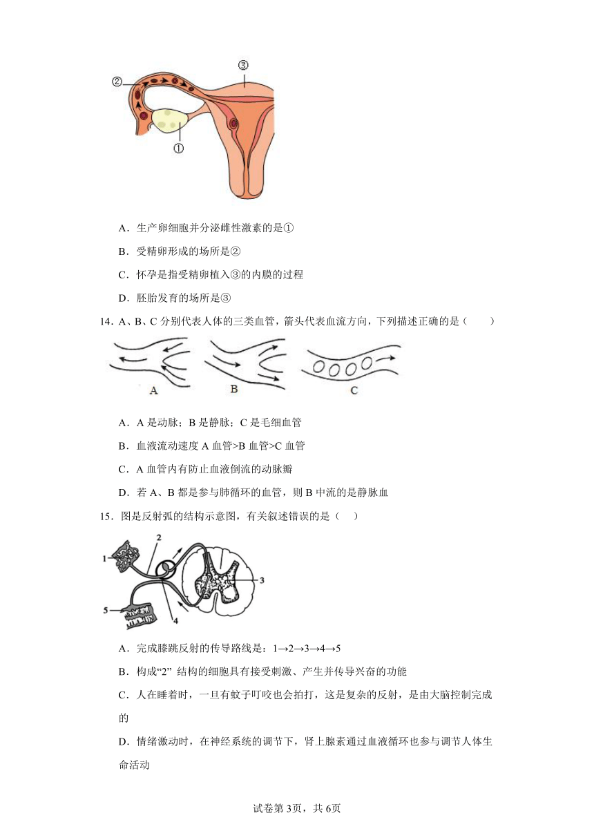 2023-2024学年初中生物苏科版八年级上册期末测试模拟卷2（答案+解析）