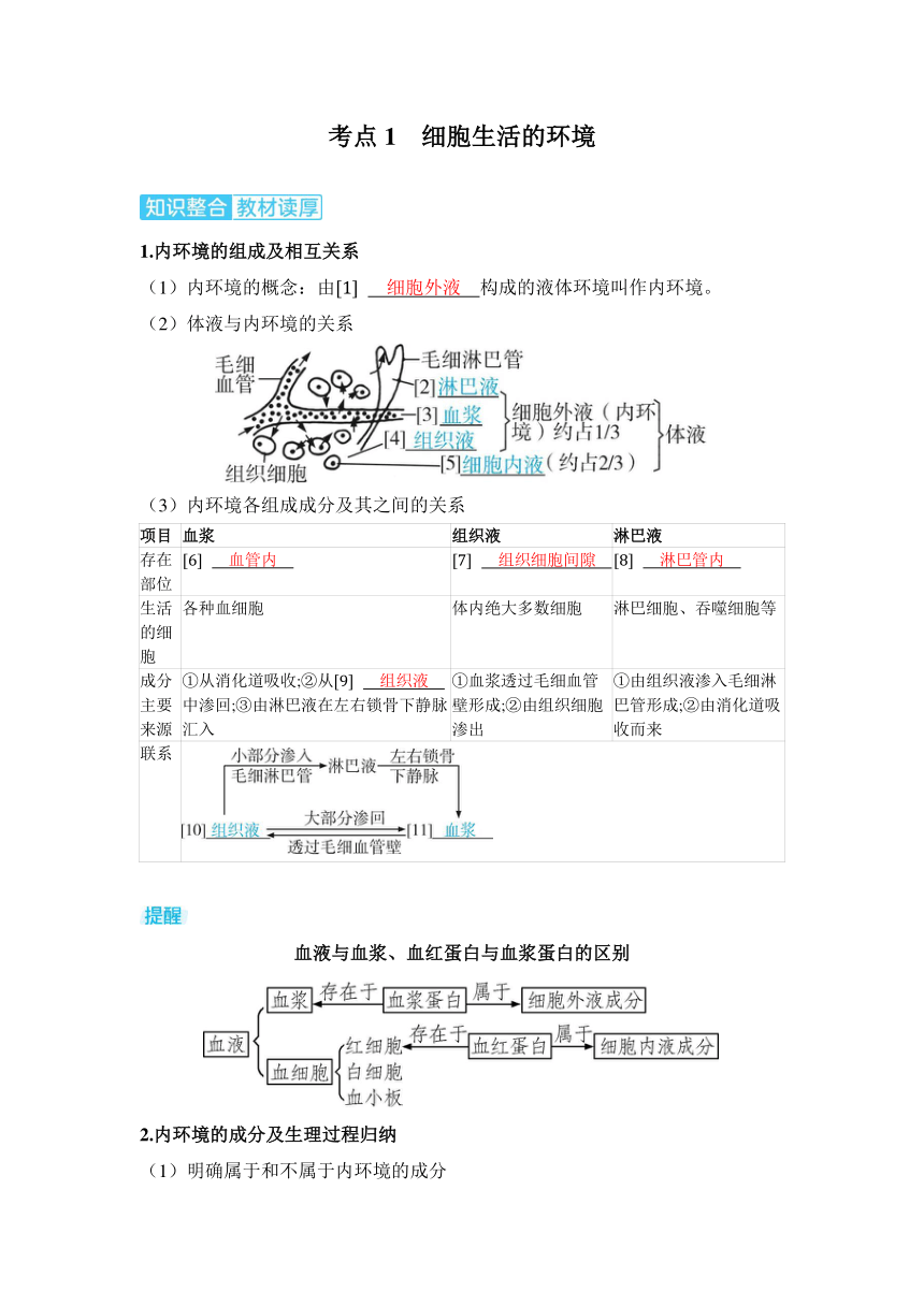 生物学高考备考学案：8-1  人体的内环境与稳态（含答案）