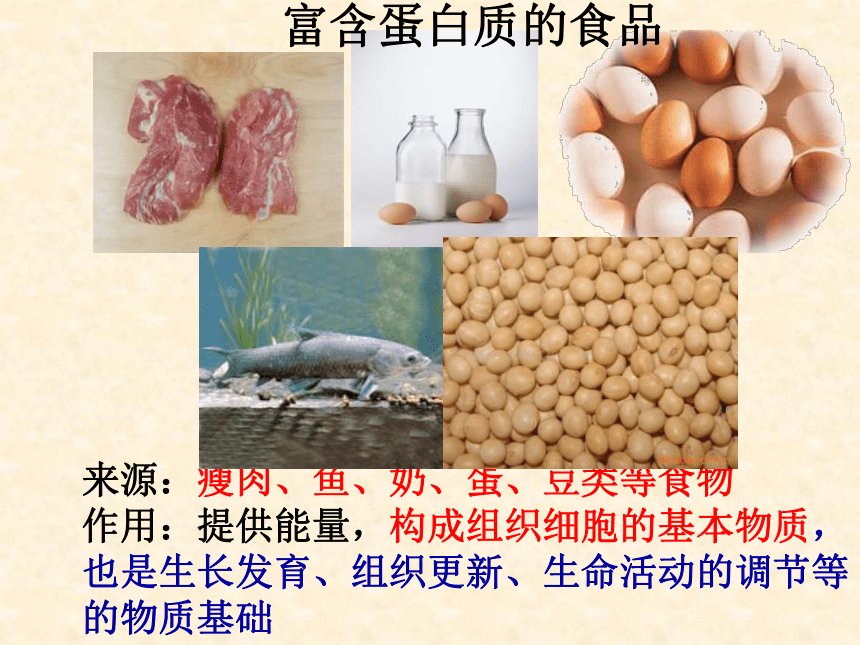 冀教版七下生物 1.1食物 课件（22张PPT）