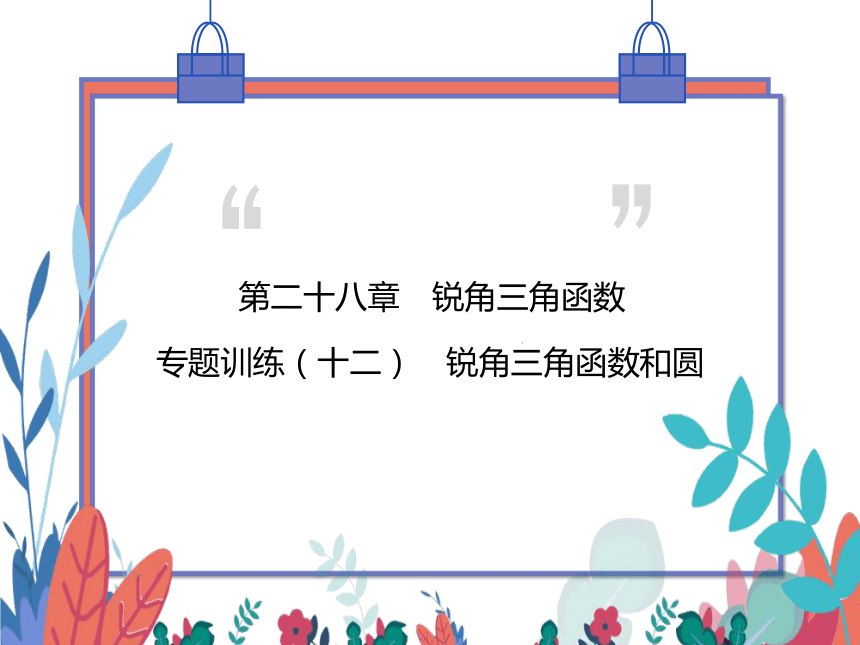 【同步精讲-习题课件】第28章《锐角三角函数》专题训练（十二） 锐角三角函数和圆-人教版数学九下