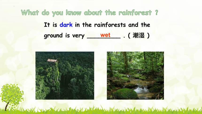 Unit 4  Our World  Topic 1 What’s the strongest animal on the farm？  Section C 课件(共23张PPT)