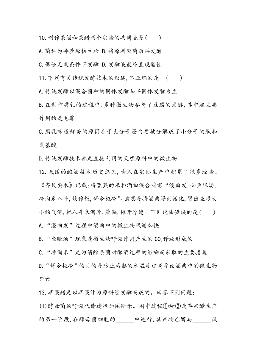 1.1《传统发酵技术的应用》课时同步练2023~2024学年高中生物人教版（2019）选择性必修3（含答案）