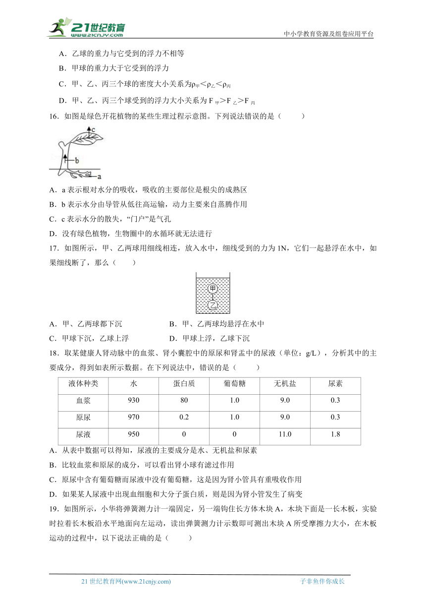 2023-2024年华师大版八上科学期末冲刺之期末模拟四（含答案）