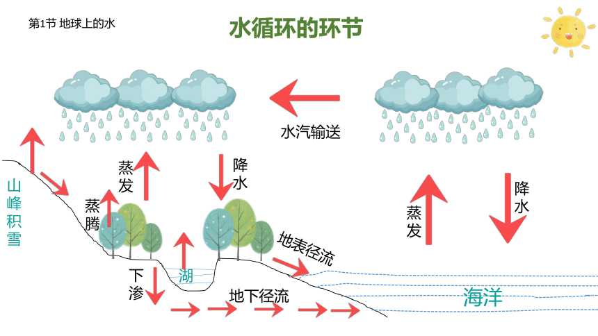 期末复习1--华师大版初中科学七下同步课件