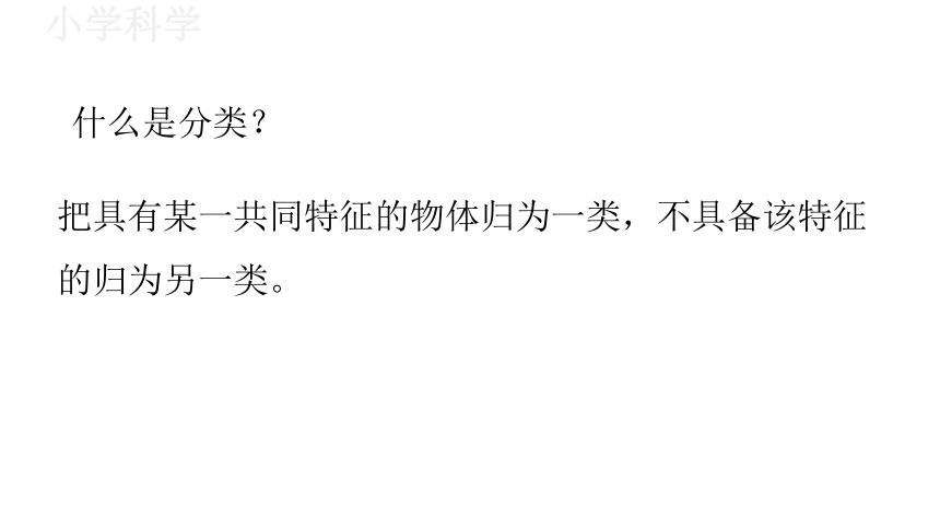 教科版（2017秋）一年级下册2.6给动物分类课件（17张PPT)