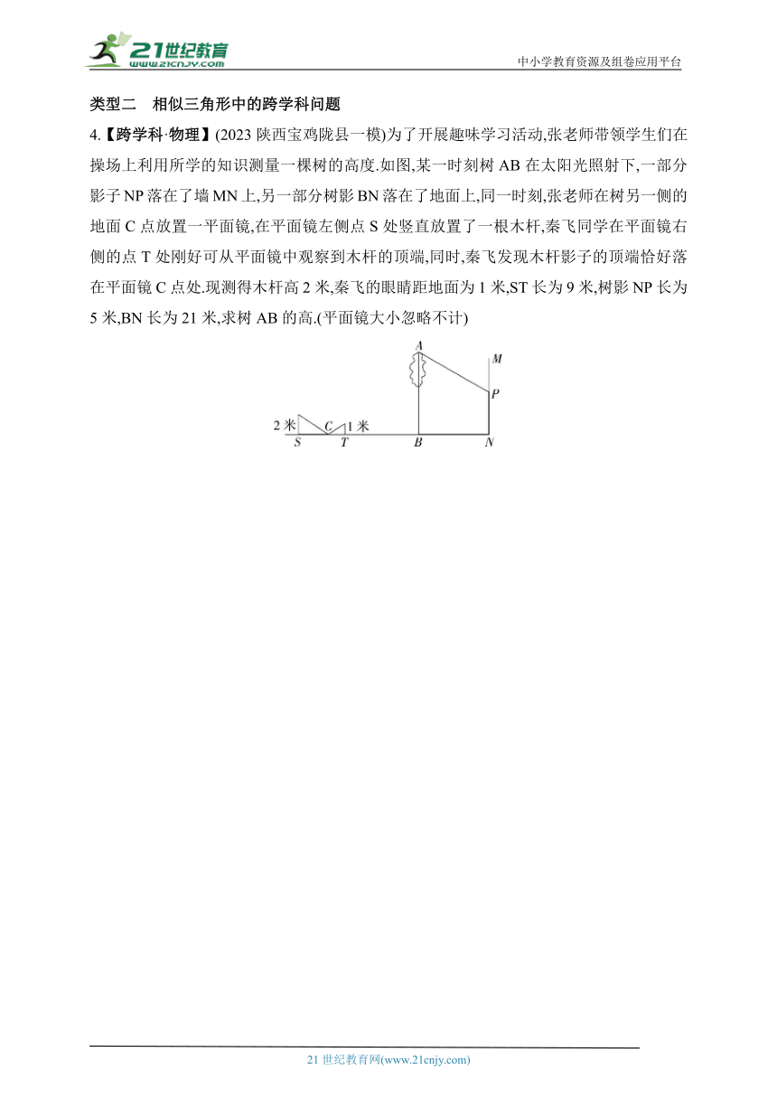 2024人教版数学九年级下学期课时练--专项素养综合全练(五)跨学科专题(一)（含解析）