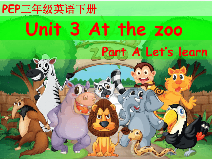 Unit 3 At the zoo Part A Let’s learn课件 (共18张PPT)