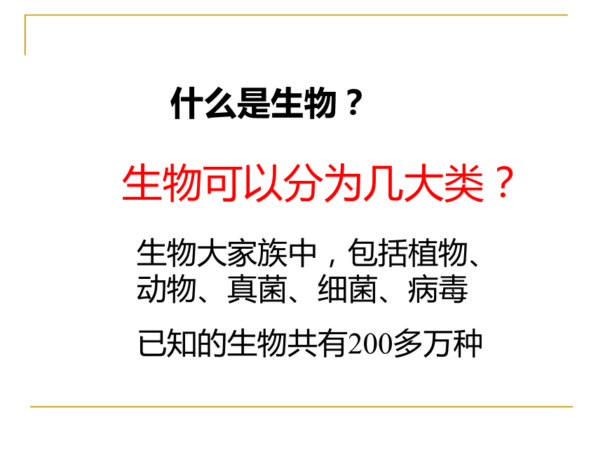 第一章 第一节 生物的基本特征（23张PPT）