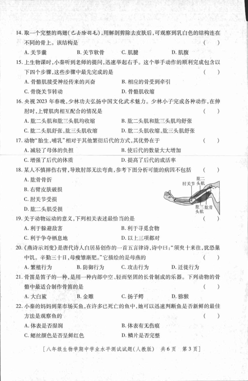 陕西省延安市富县2023-2024学年八年级上学期期中考试生物试题（PDF版 无答案）