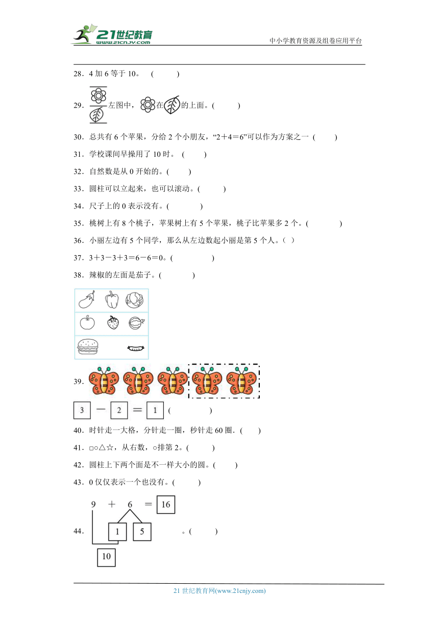 北师大版一年级上册数学期末判断题专题训练（含答案）