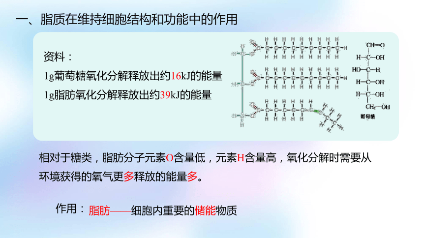 1.2.2 脂质在维持细胞结构和功能中的作用课件(第二课时）（共19张PPT)2023-2024学年高一上学期生物苏教版（2019）必修第一册