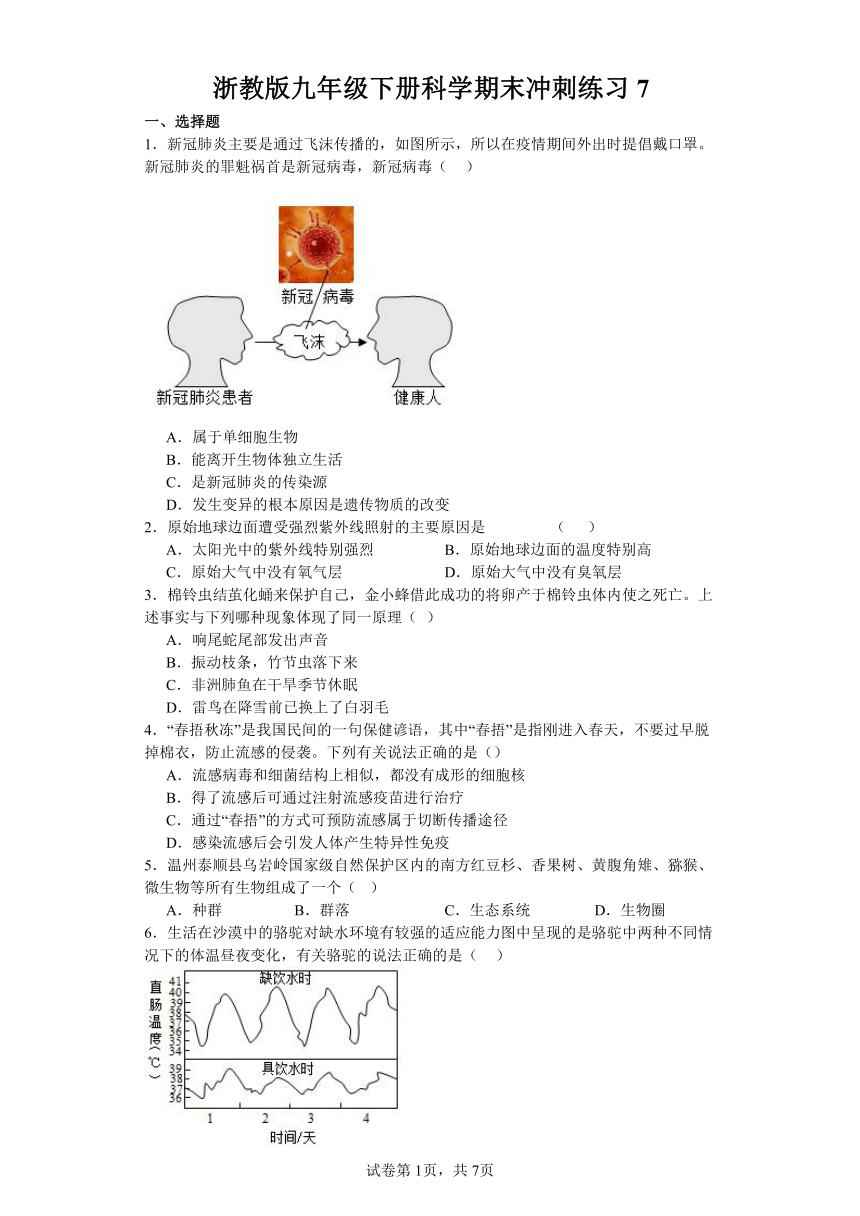 浙教版九年级下册科学期末冲刺练习7（含答案）