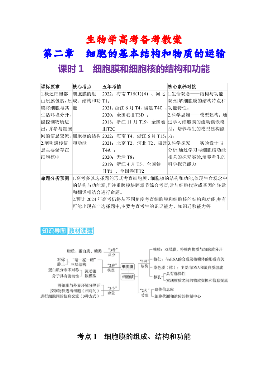 生物学高考备考学案：2-1  细胞膜和细胞核的结构和功能（含答案）