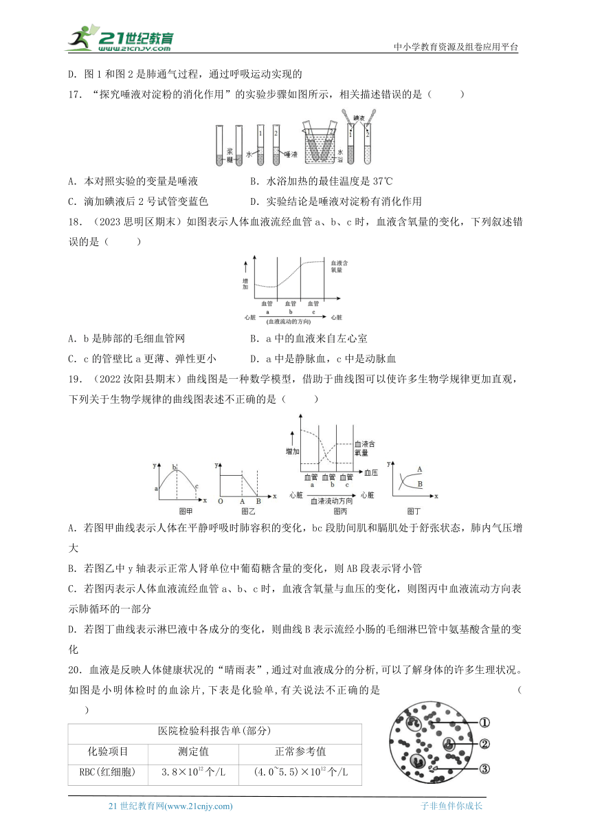 2024华师大版科学八上期末冲刺系列之第五章人体物质和能量转化（含答案）