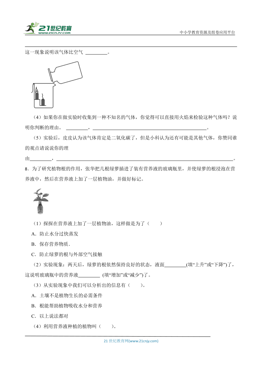 粤教版五年级上册科学期末实验探究题专题训练（含答案）