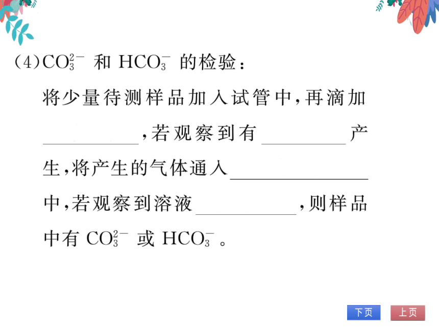 【同步精讲-习题课件】第十一单元《盐 化肥》单元复习与提升-人教版化学九下