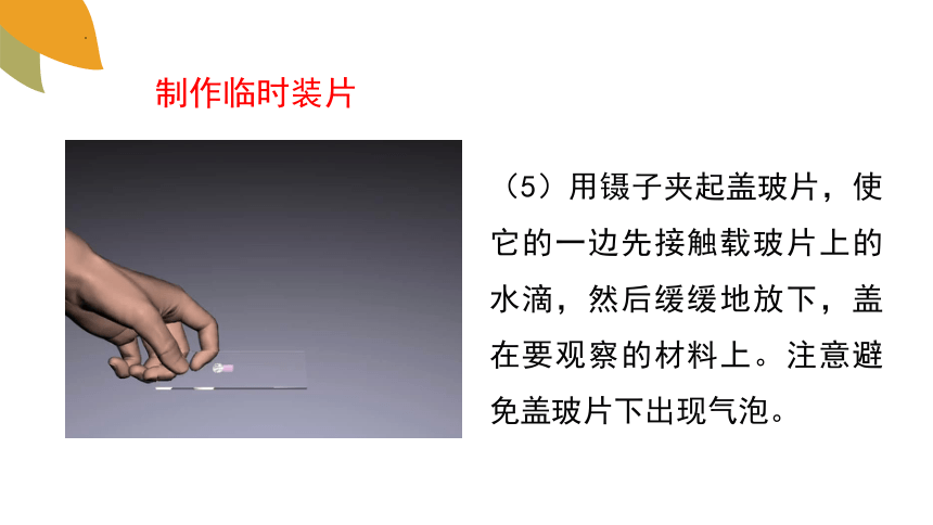 1.2.1细胞的结构和功能课件 (共37张PPT+内嵌视频7个)济南版生物七年级上册