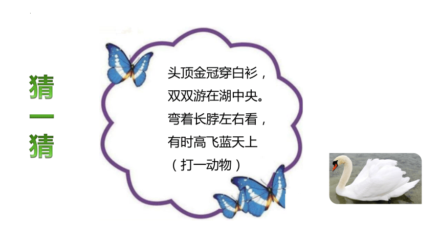 人教版一年级上册数学5.5 加减混合课件(共17张PPT)