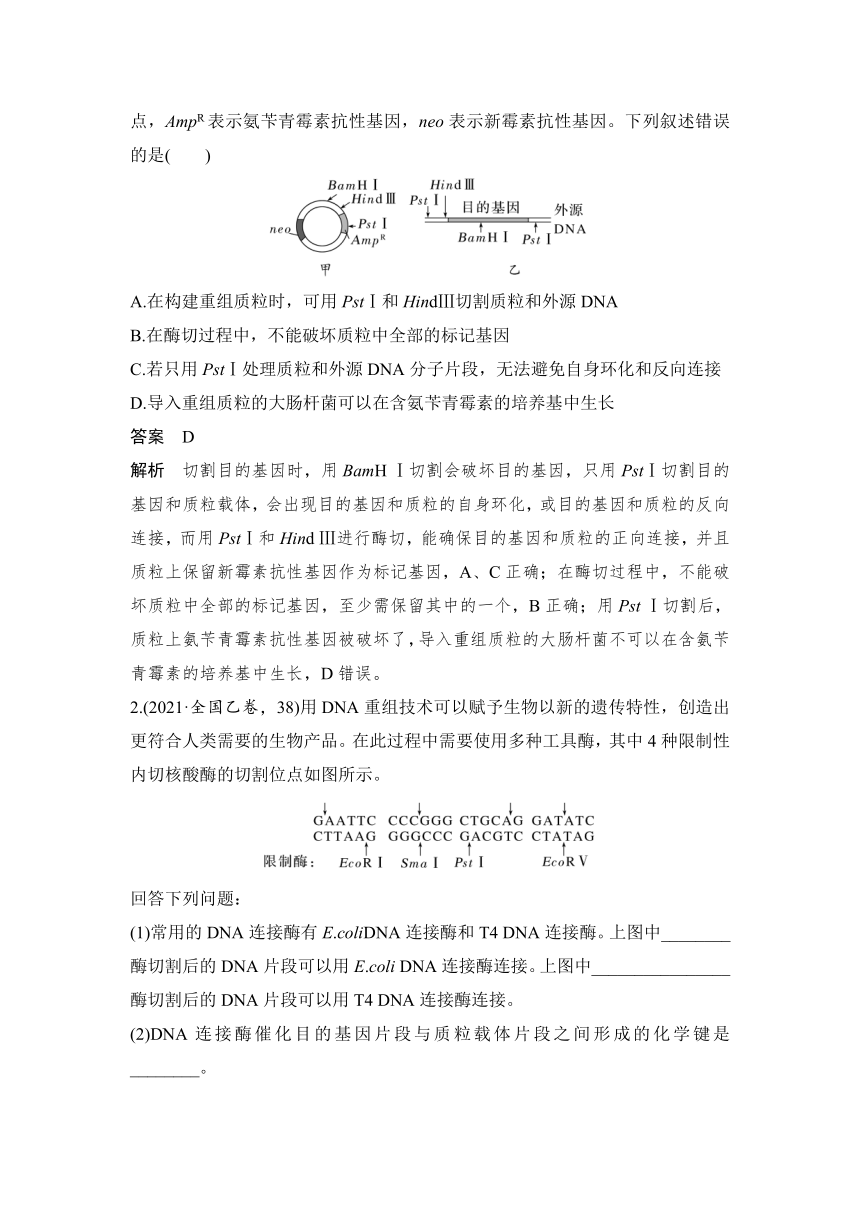 【备考2024】生物学高考一轮复习学案：第49讲　基因工程的基本工具和基本操作程序（含解析）