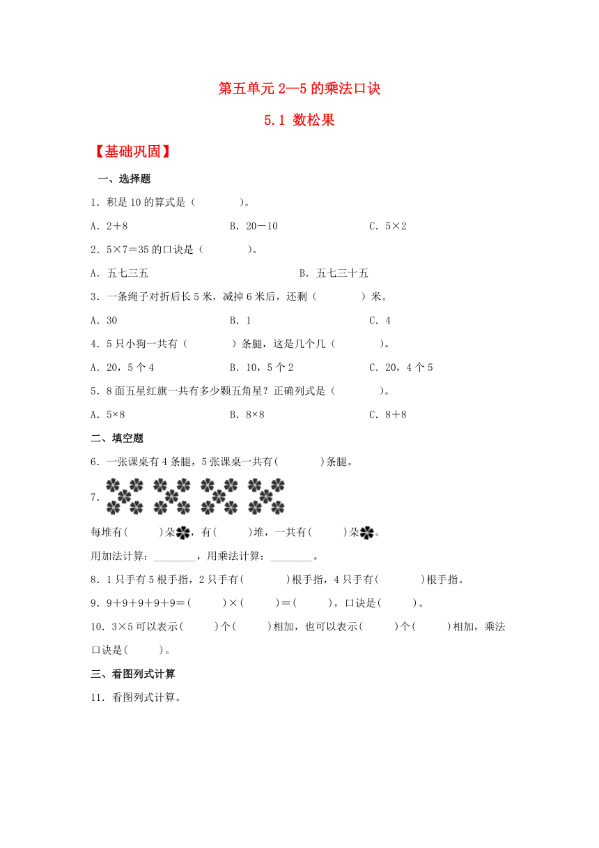 【分层作业】二年级上册数学5.1 数松果同步练习 （含解析）北师大版