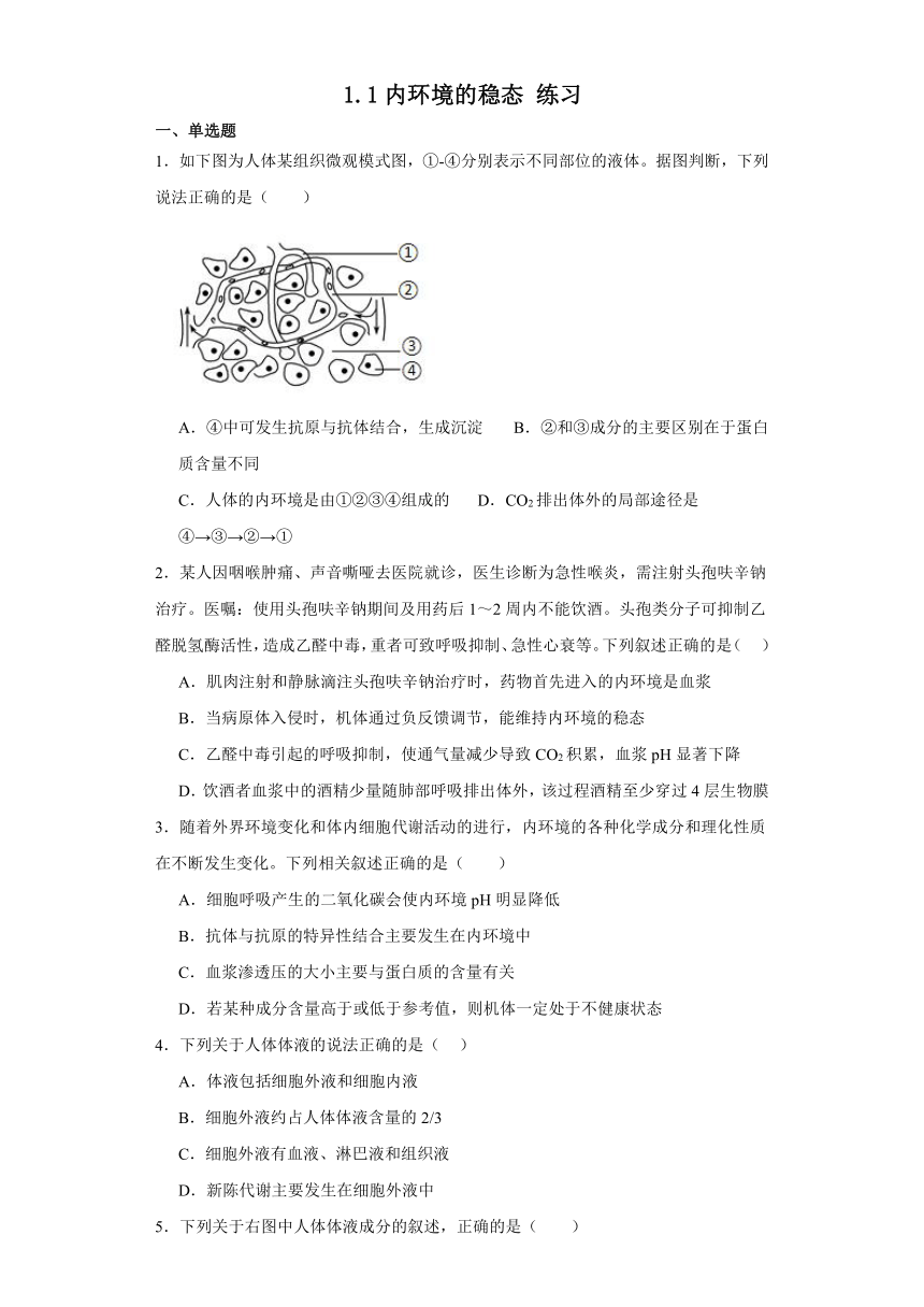 1.1内环境的稳态 练习（解析版）