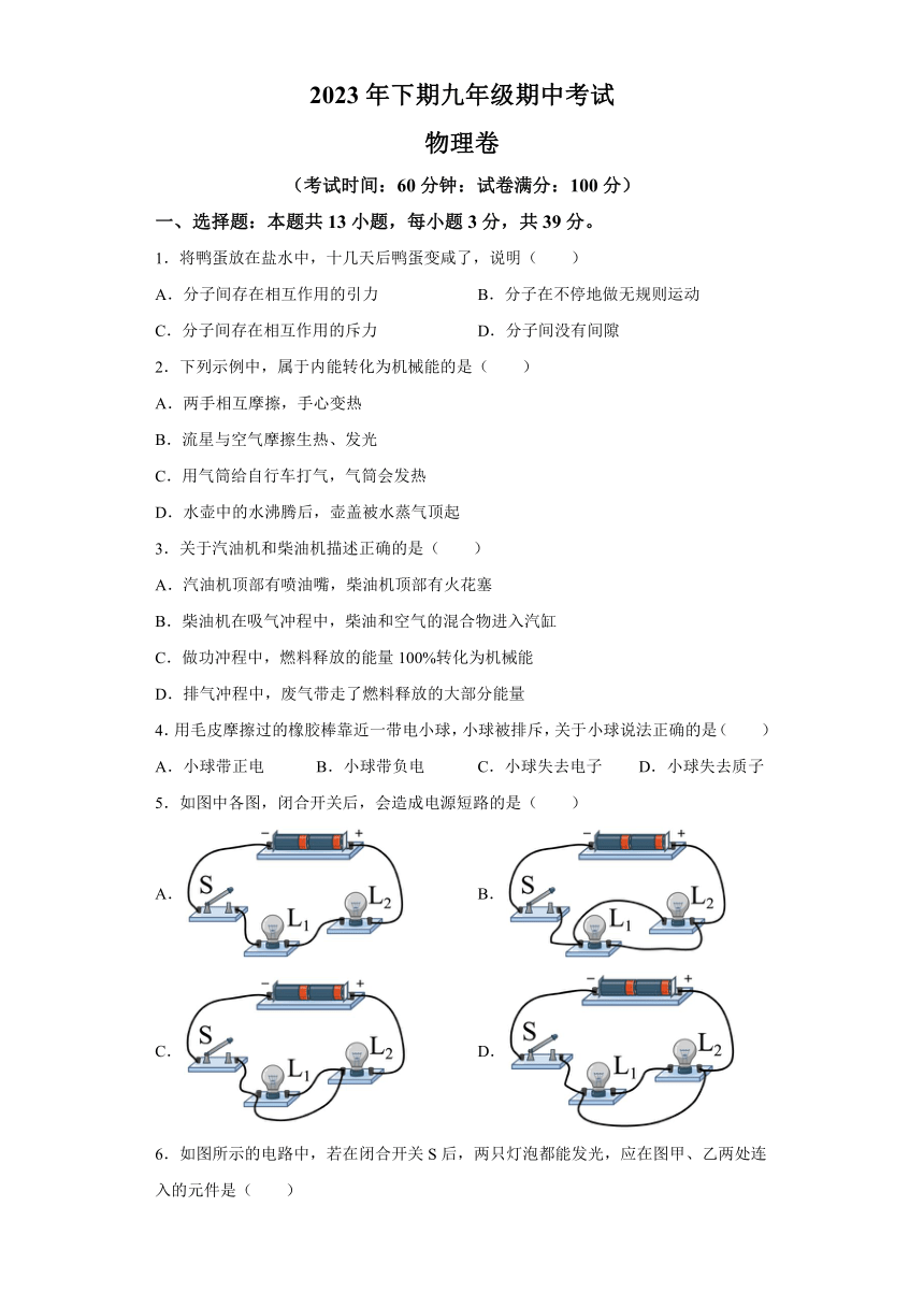 湖南省郴州市永兴县2023-2024学年九年级上学期期中考试物理试题（含解析）