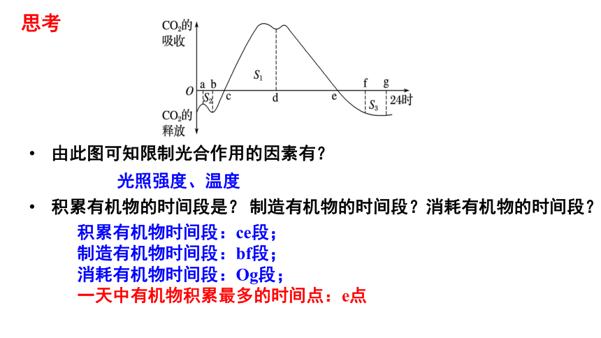 5.4 光合作用与能量转化（第三课时）课件(共22张PPT)高一生物课件（2019人教版必修1）