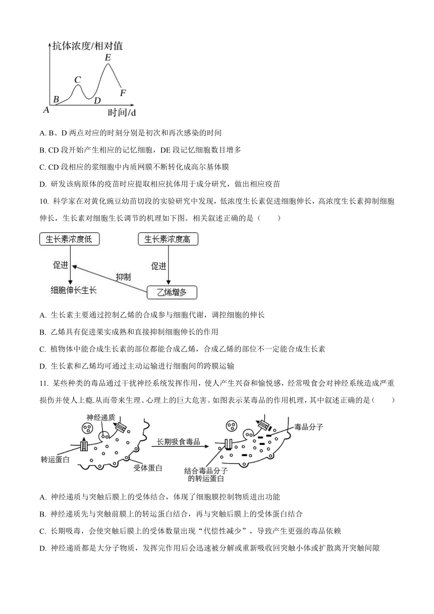 福建省厦门市湖滨名校2023-2024学年高二上学期期中生物试题（含解析）